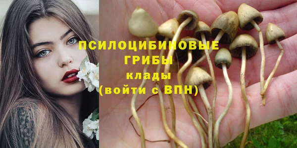 гашиш Беломорск