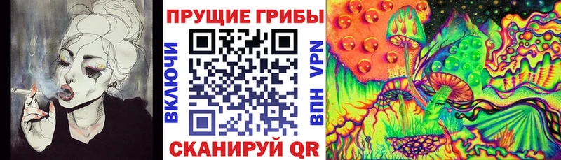 Галлюциногенные грибы ЛСД купить закладку Верхний Тагил